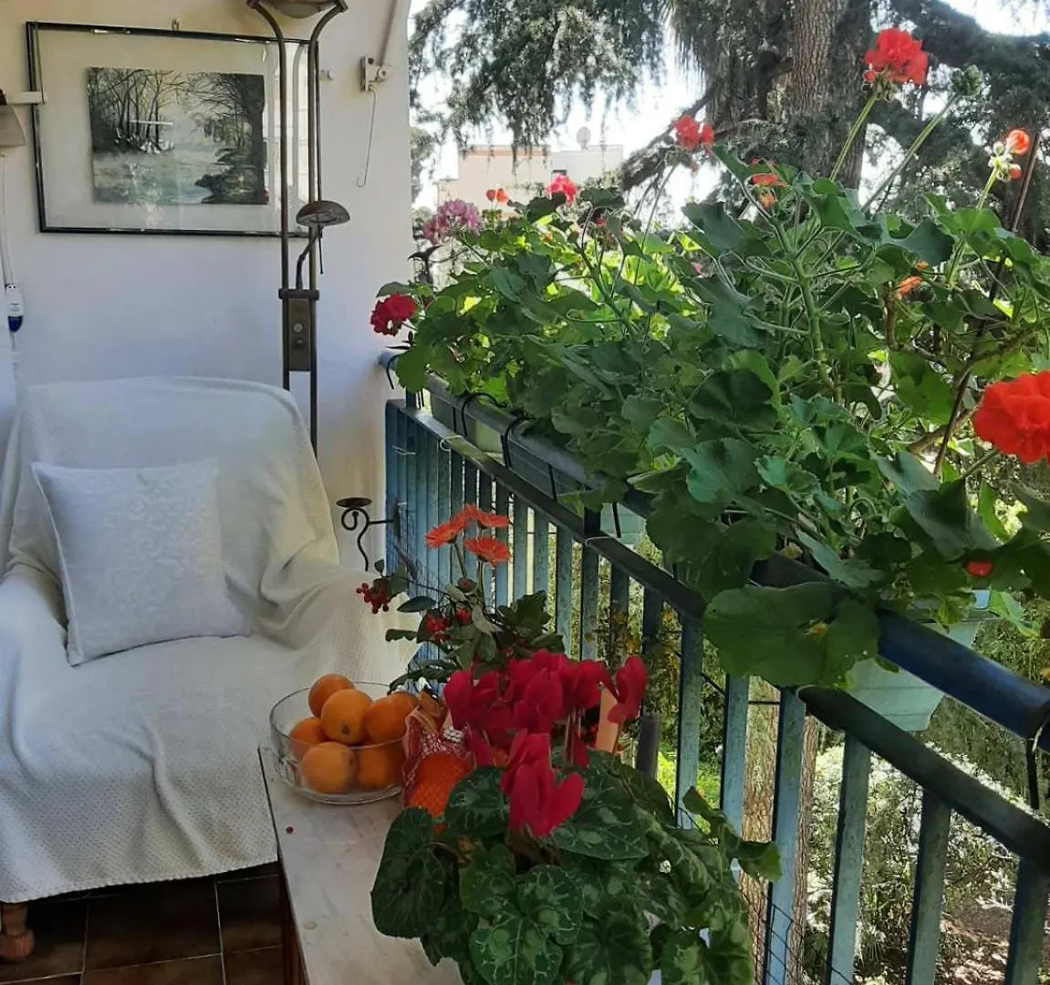 Holiday Or Congress, Centre - Beach Apartment Cannes France