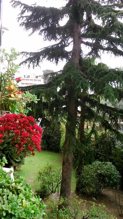 Holiday Or Congress, Centre - Beach Apartment Cannes France